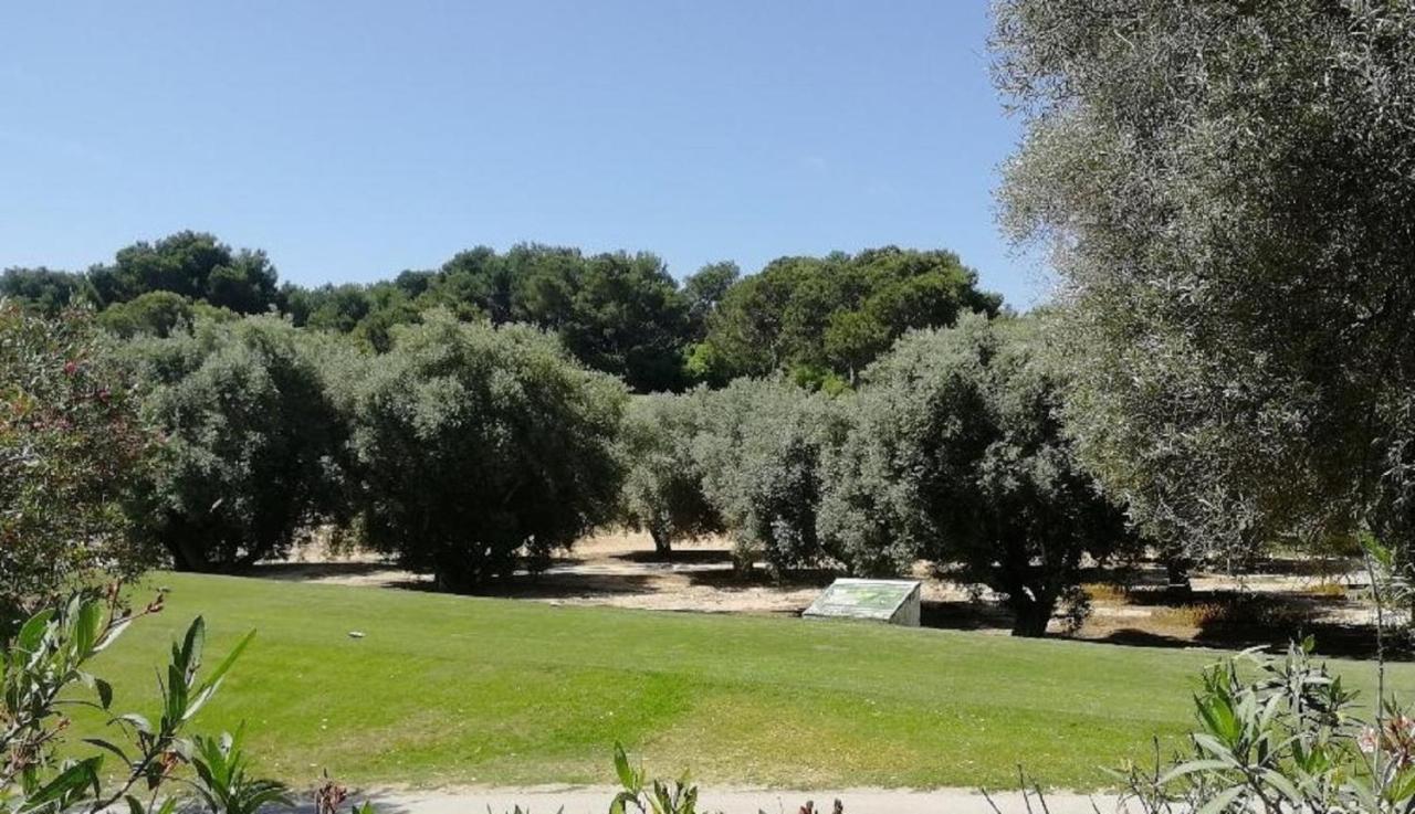 Casa Joleen 2 Villamartin  Eksteriør billede